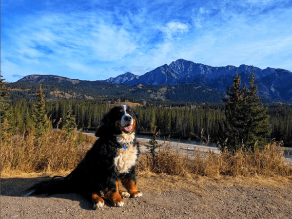 I Drove All The Way To B.C Just To Turn Around And Come&nbsp;Back